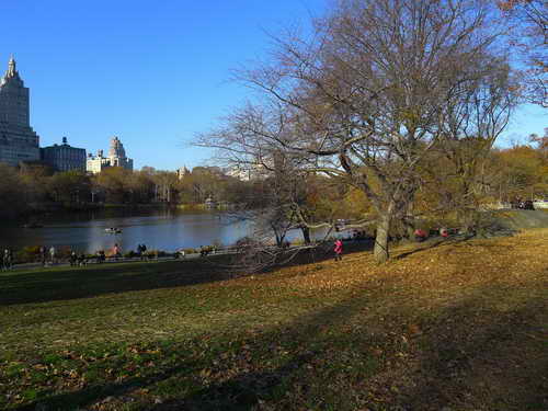 NYC_2012-11-22 14-43-07_P1070567